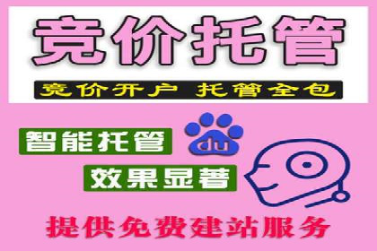 搜索引擎广告（SEM）在本地化推广中的运用案例